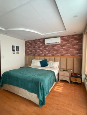 Luxury Apartment
